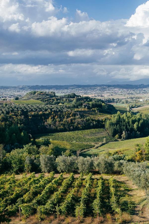 Agriturismo Bellavista 산미니아토 외부 사진