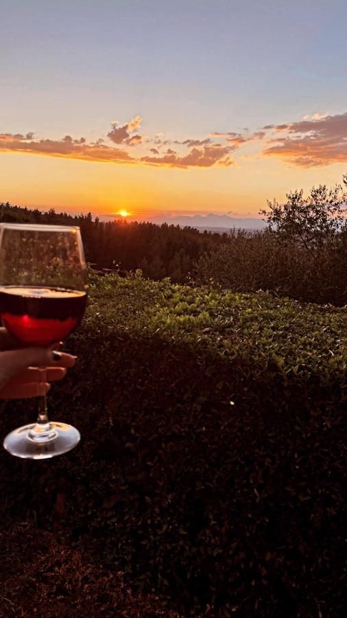 Agriturismo Bellavista 산미니아토 외부 사진